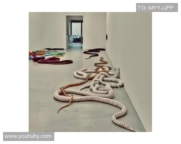 加莱诺的艺术魅力与文化影响力探讨：从创作到当代的传承与发展